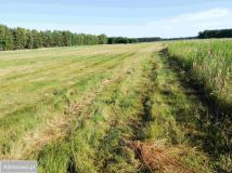 Działka rolna Nowa Obra. Zdjęcie 1