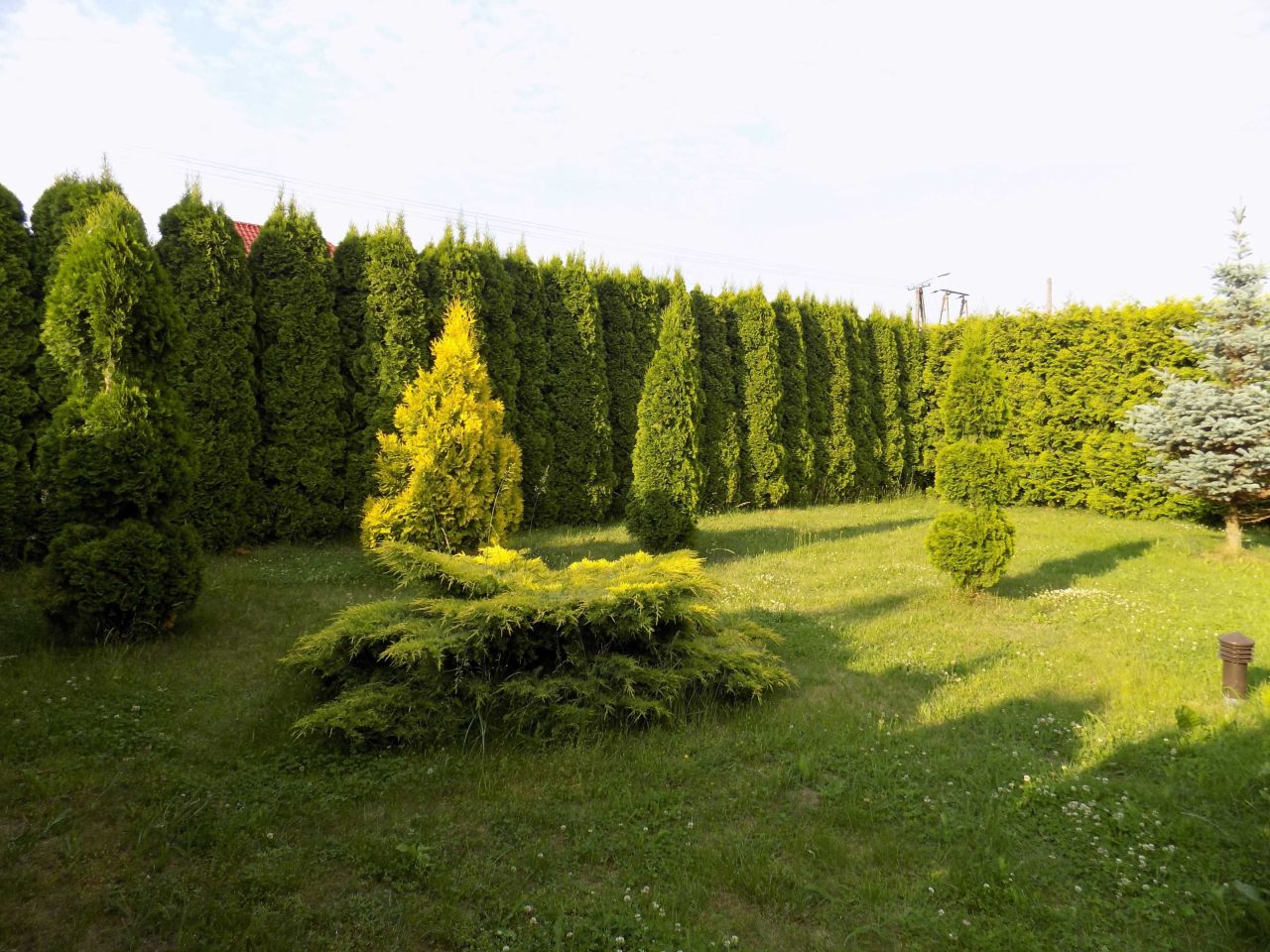 Działka budowlana Brdów. Zdjęcie 4