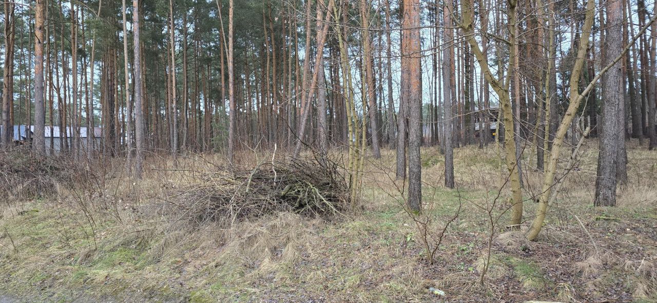 Działka budowlana Konstancin-Jeziorna Konstancin, ul. Fryderyka Chopina. Zdjęcie 7