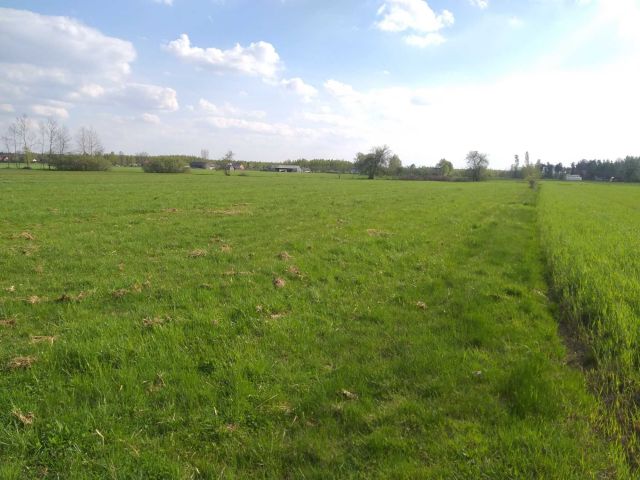 Działka budowlana Miejska Dąbrowa. Zdjęcie 1