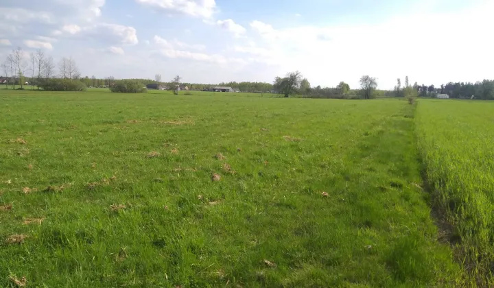 Działka budowlana Miejska Dąbrowa