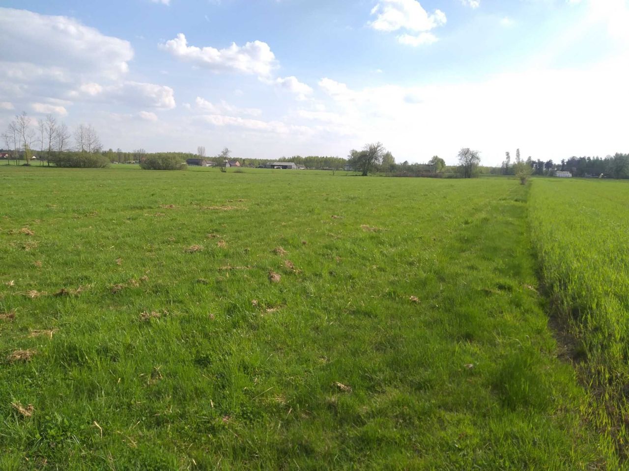 Działka budowlana Miejska Dąbrowa