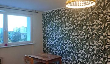 Mieszkanie 2-pokojowe Zielona Góra, ul. Ptasia