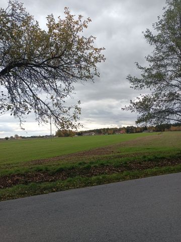 Działka rolna Turza Wilcza. Zdjęcie 1