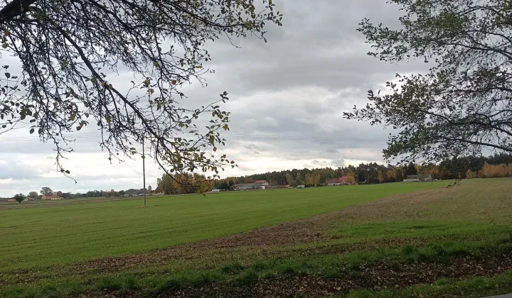 Działka rolna Turza Wilcza