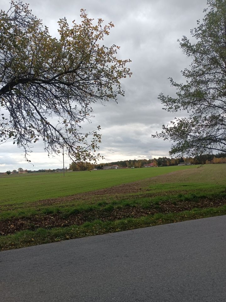 Działka rolna Turza Wilcza