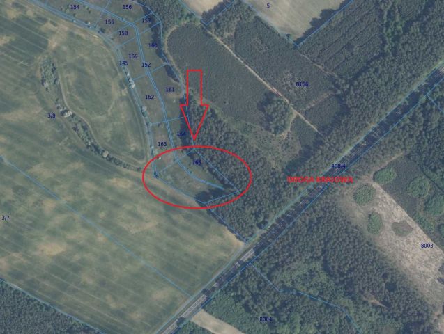 Działka rolna Miłogoszcz. Zdjęcie 1