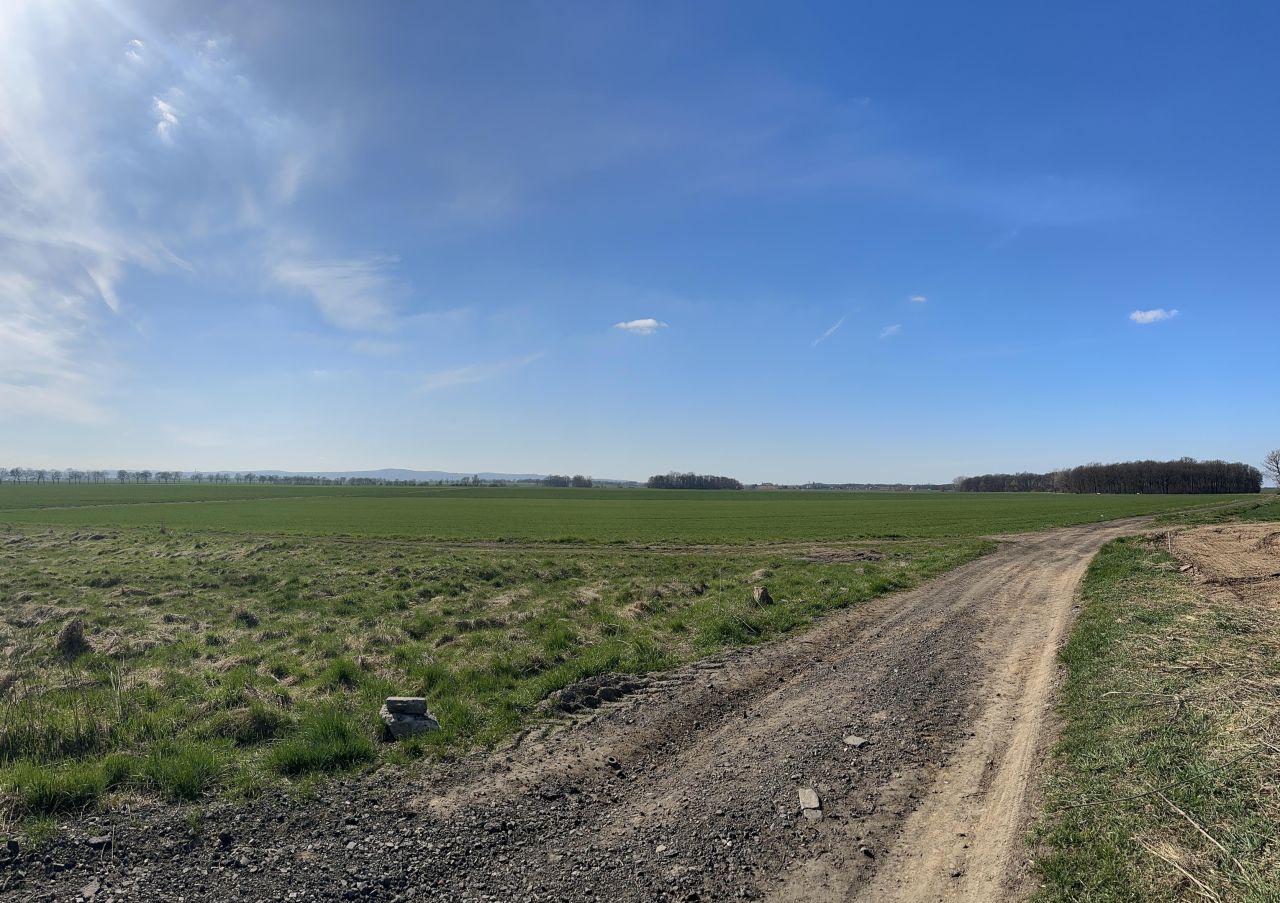 Działka rolna Snowidza. Zdjęcie 5