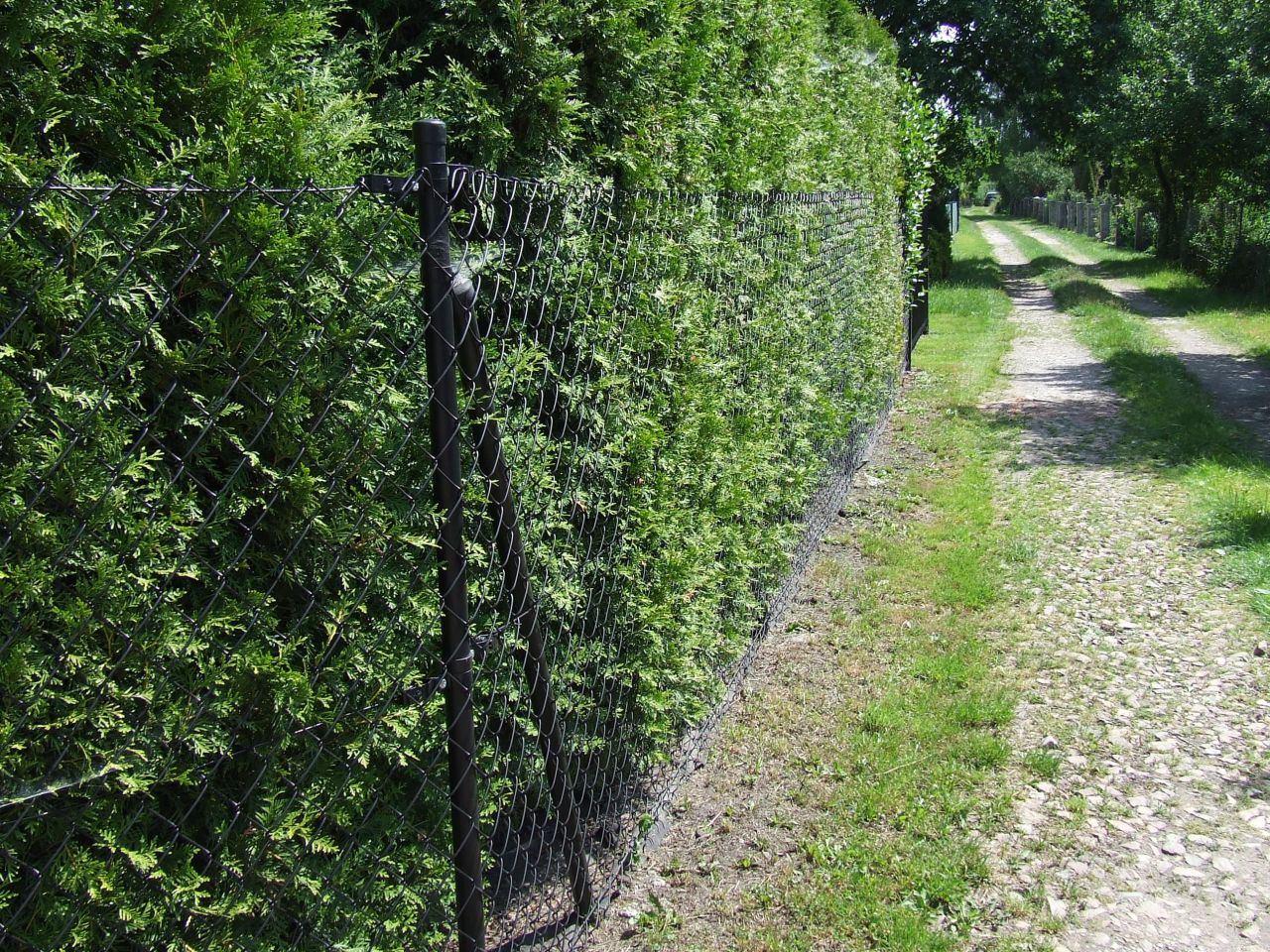 Działka rod Skawina, ULPODGORKI 22. Zdjęcie 7