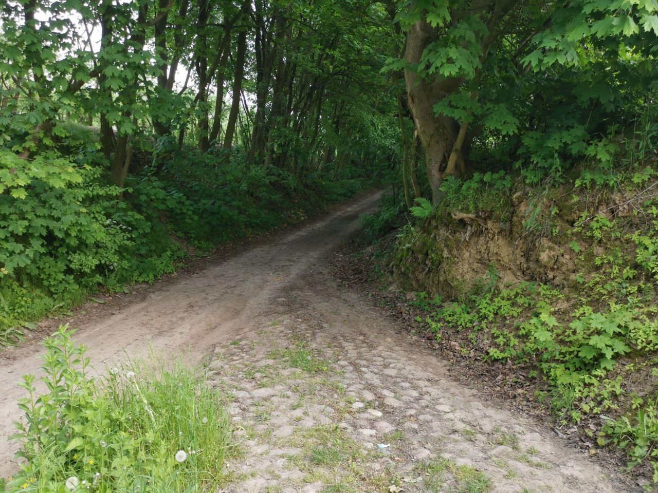 Działka budowlana Kazimierz Dolny Jeziorszczyzna, Jeziorszczyzna. Zdjęcie 8