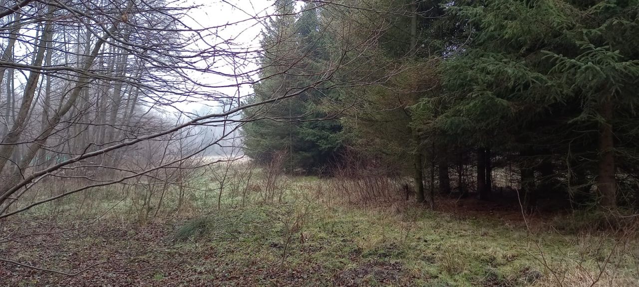 Działka budowlana Jeżewo. Zdjęcie 5