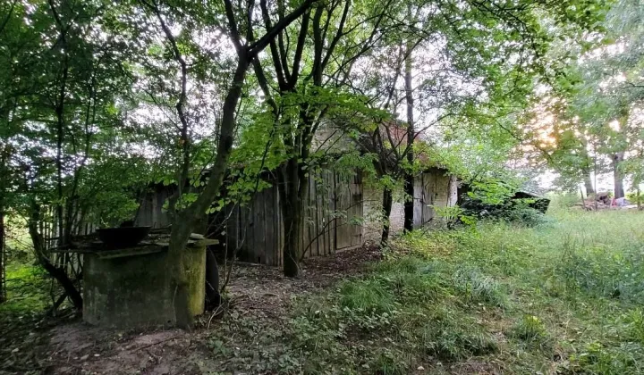 Działka rolno-budowlana Ignasin