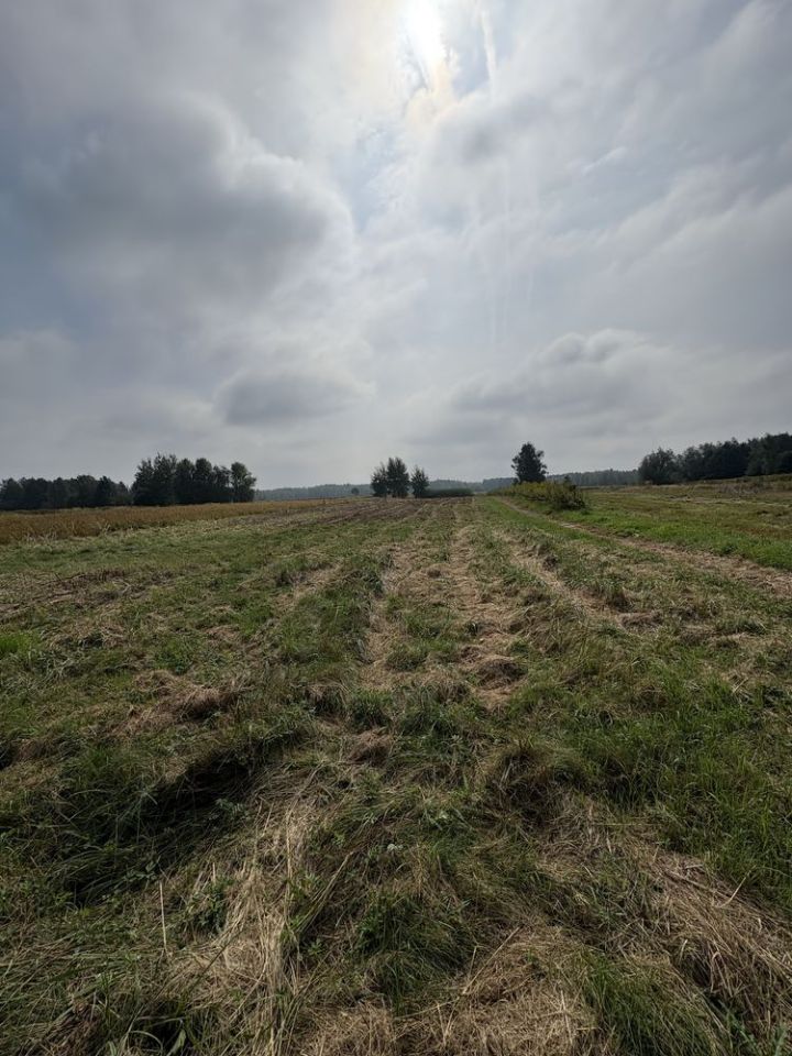 Działka rolno-budowlana Stojeszyn Pierwszy. Zdjęcie 4