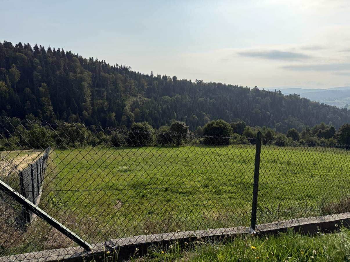 Działka rolna Szymbark. Zdjęcie 5