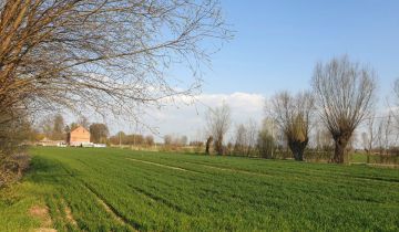 Działka siedliskowa Stegienka