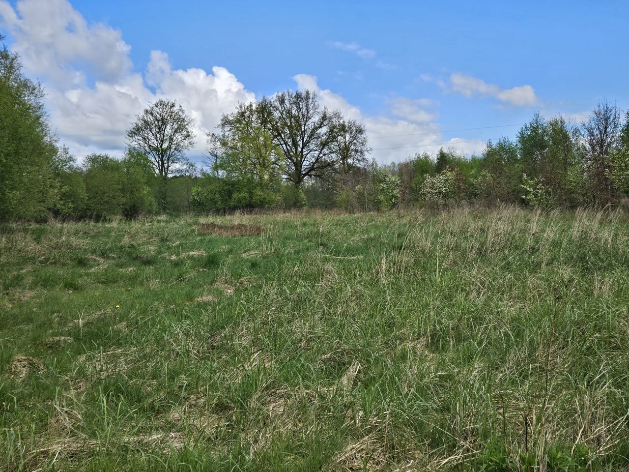 Działka budowlana Czarnkowo. Zdjęcie 8