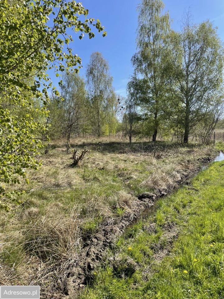 Działka rekreacyjna Nowy Orzechów. Zdjęcie 2