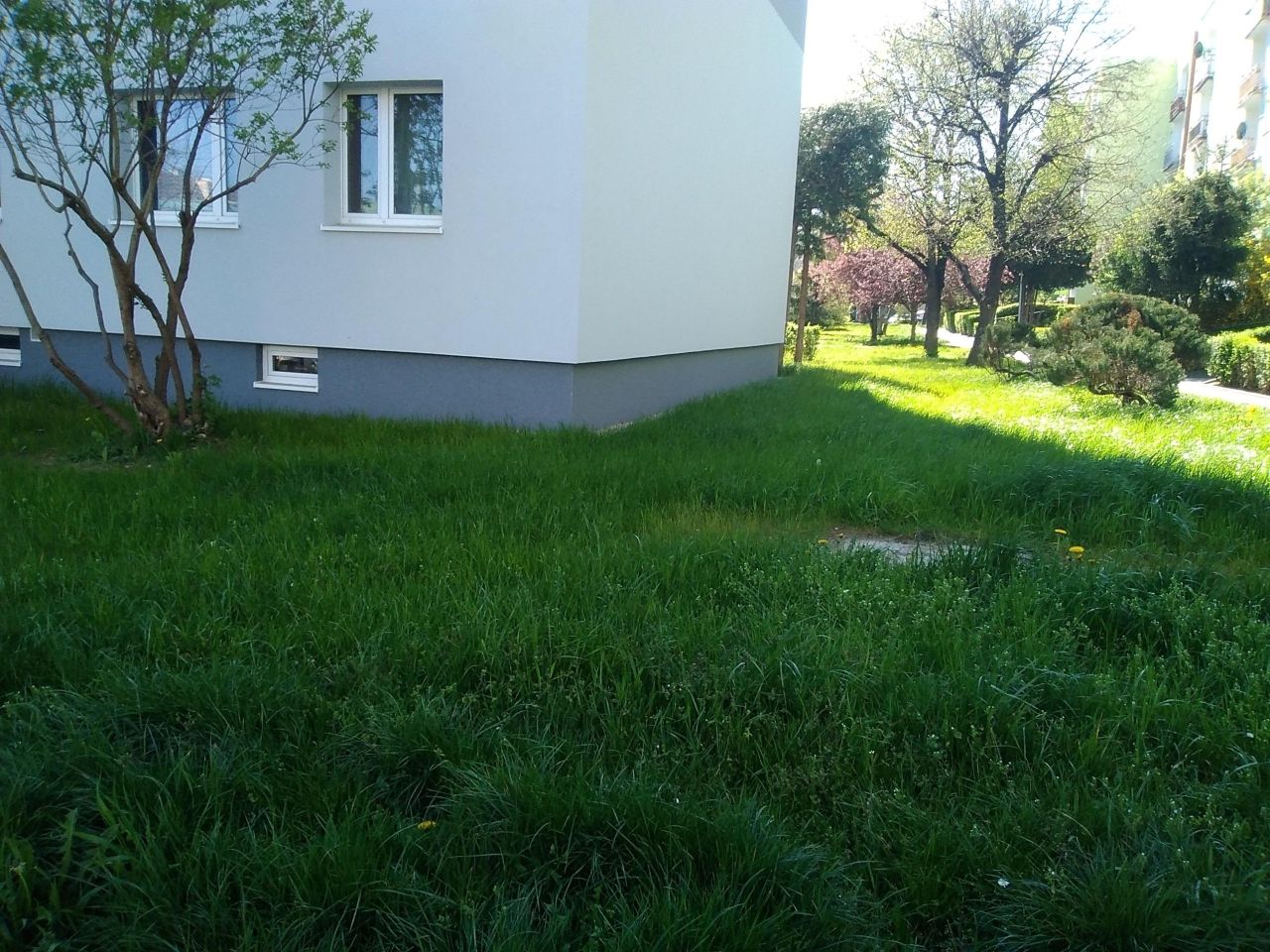 Mieszkanie 3-pokojowe Świdnica. Zdjęcie 19