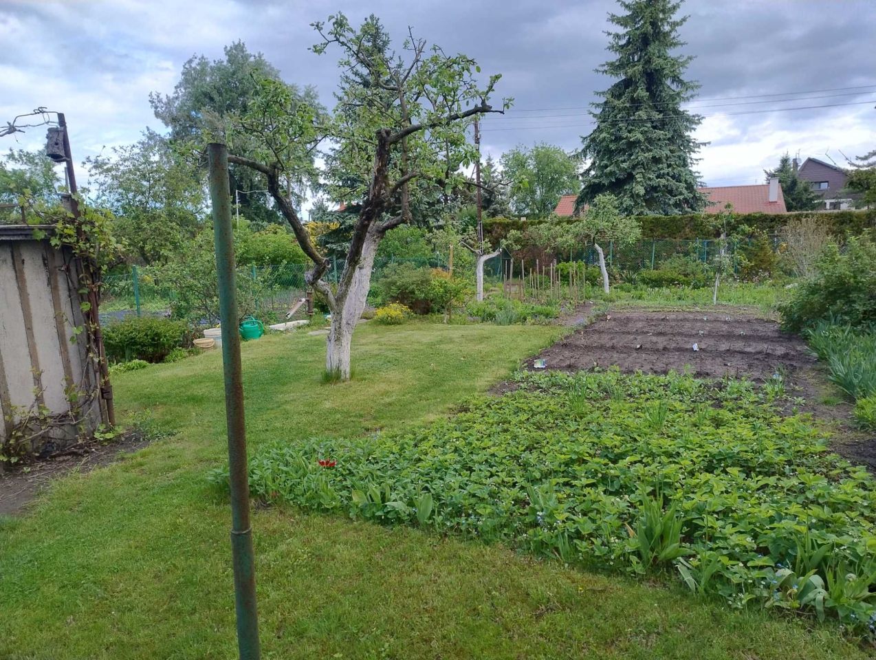 Działka rod Wrocław Śródmieście, al. Jana Kochanowskiego. Zdjęcie 5