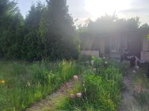 Działka rod Legnica Piekary Wielkie, ul. Koskowicka. Zdjęcie 4