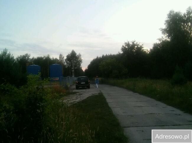 Działka rolna Wólka Domaniowska. Zdjęcie 6