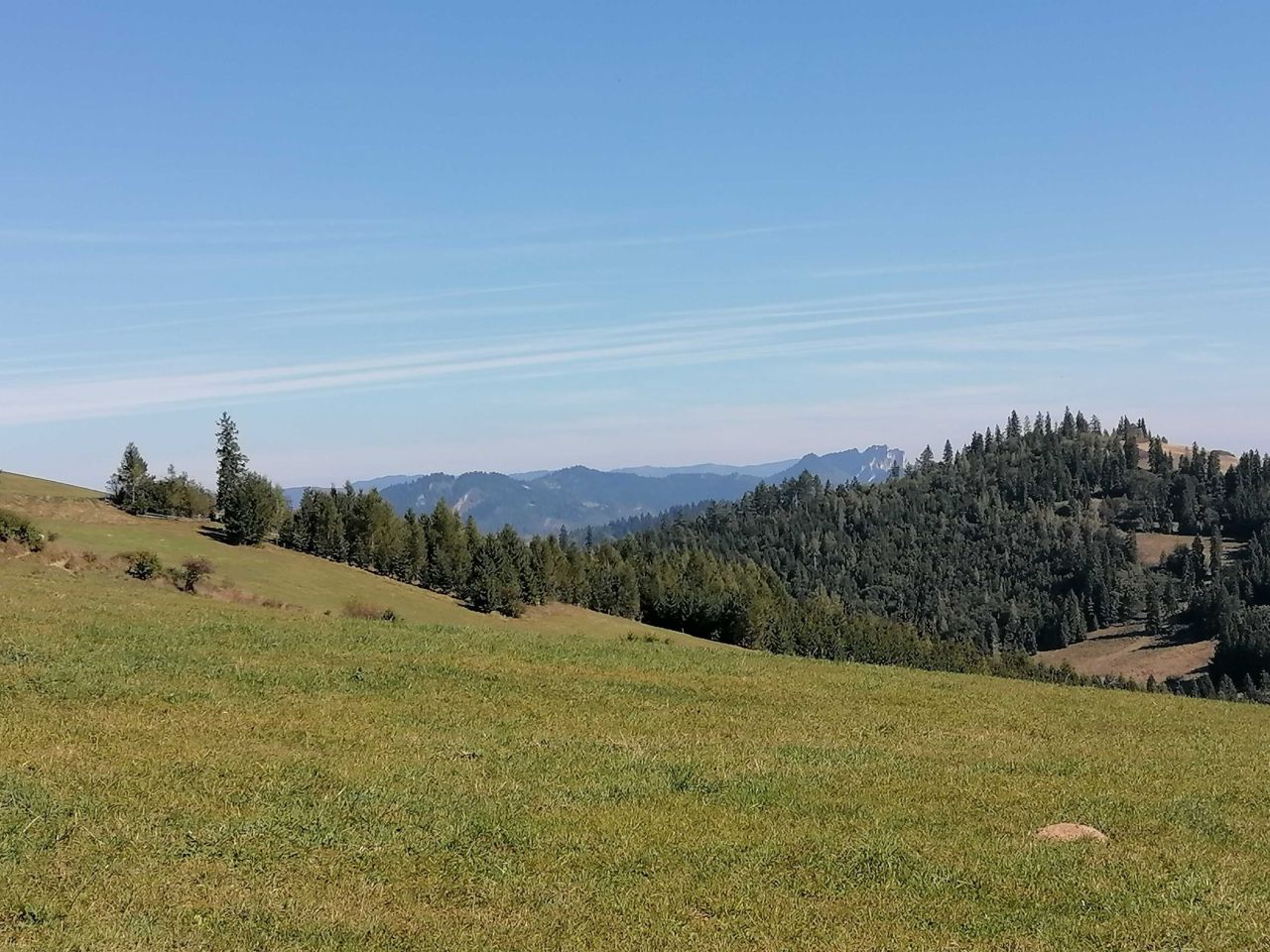 Działka Łapsze Niżne. Zdjęcie 6