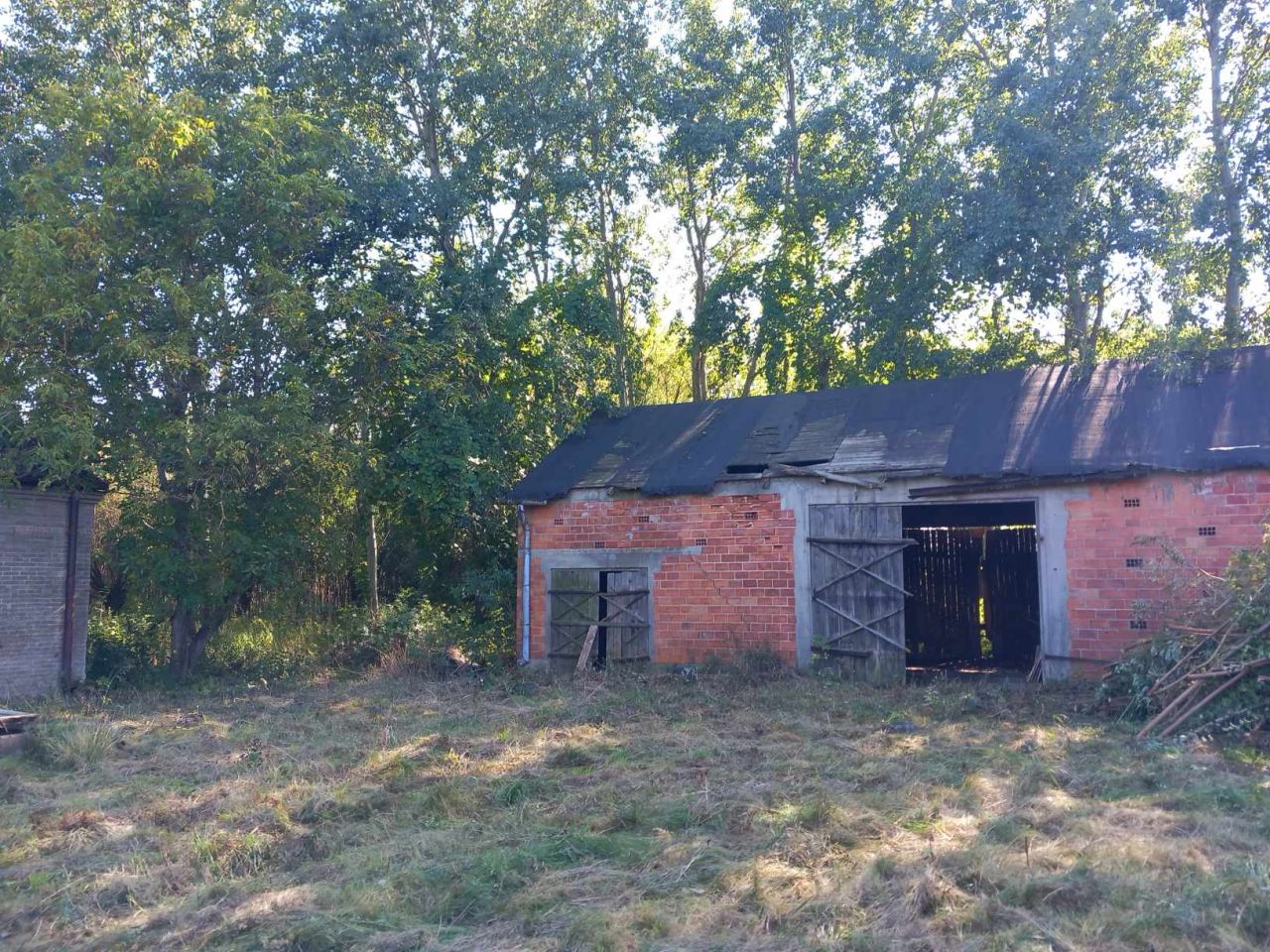 Działka rolno-budowlana Plecewice. Zdjęcie 8