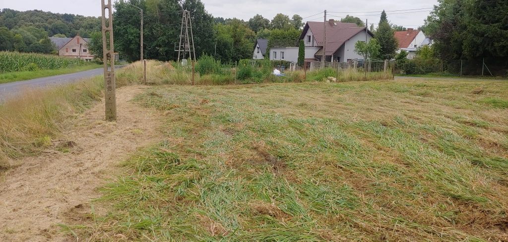 Działka rolna Burgrabice. Zdjęcie 5