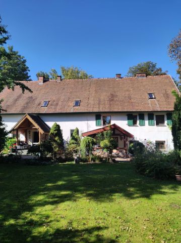 Nieruchomość komercyjna Przybyszów Korzeń. Zdjęcie 1