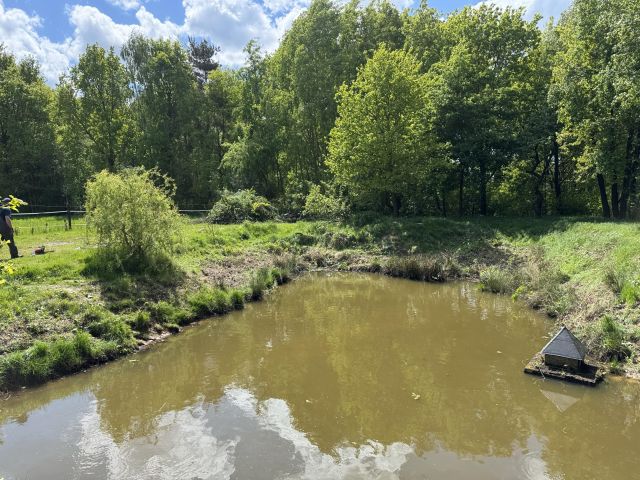 siedlisko, 10 pokoi Sobiesęki Pierwsze Wesółka, Sobiesęki Pierwsze. Zdjęcie 12