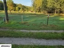 Działka rekreacyjna Borowy Młyn. Zdjęcie 3