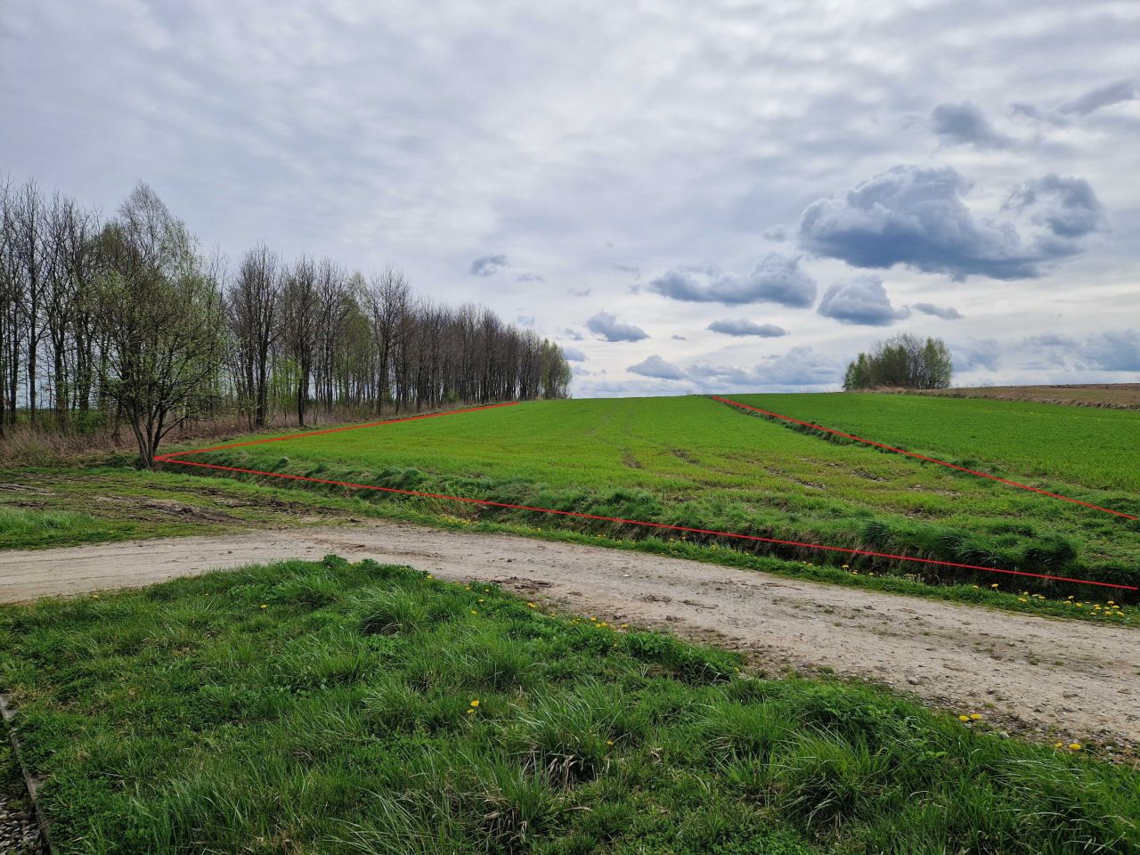 Działka rolno-budowlana Zgłobień. Zdjęcie 2