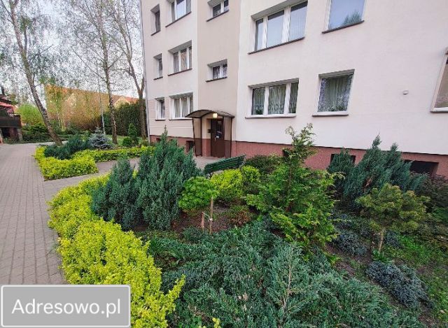 Mieszkanie 3-pokojowe Września, ul. Jana Kilińskiego. Zdjęcie 1