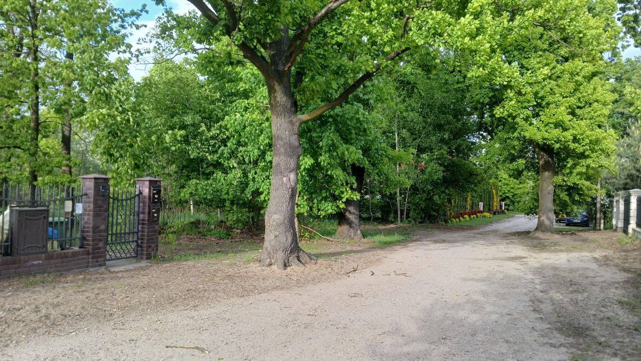 Działka budowlana Kobyłka Piotrówek, ul. Parkowa. Zdjęcie 4