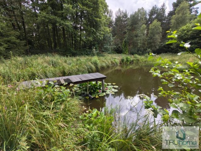 Działka rolno-budowlana Hutka. Zdjęcie 7