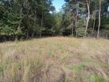 Działka rolno-budowlana Józefowo. Zdjęcie 3