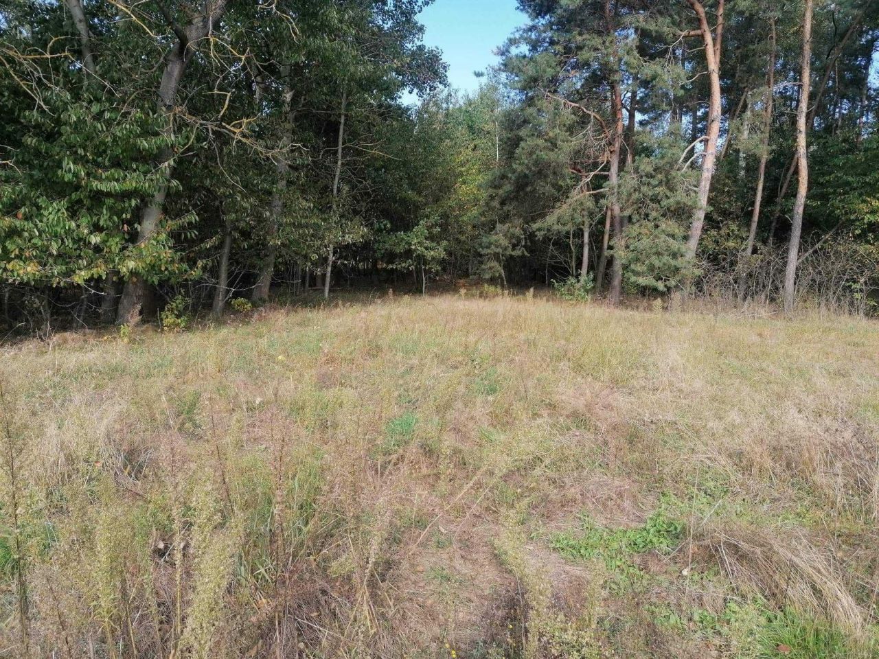 Działka rolno-budowlana Józefowo. Zdjęcie 4