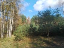 Działka budowlana Ewina. Zdjęcie 2