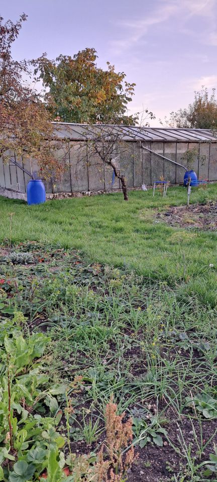 Działka rod Koszalin Centrum, ul. Mieszka I. Zdjęcie 7