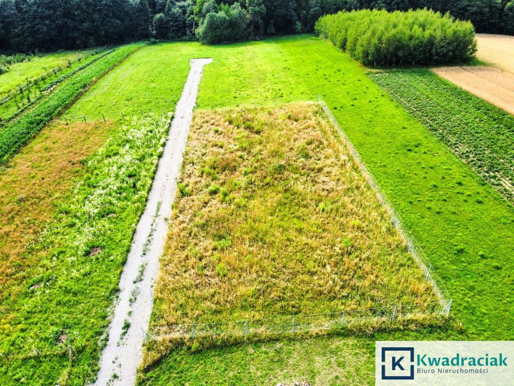 Działka budowlana Wielopole Skrzyńskie. Zdjęcie 2