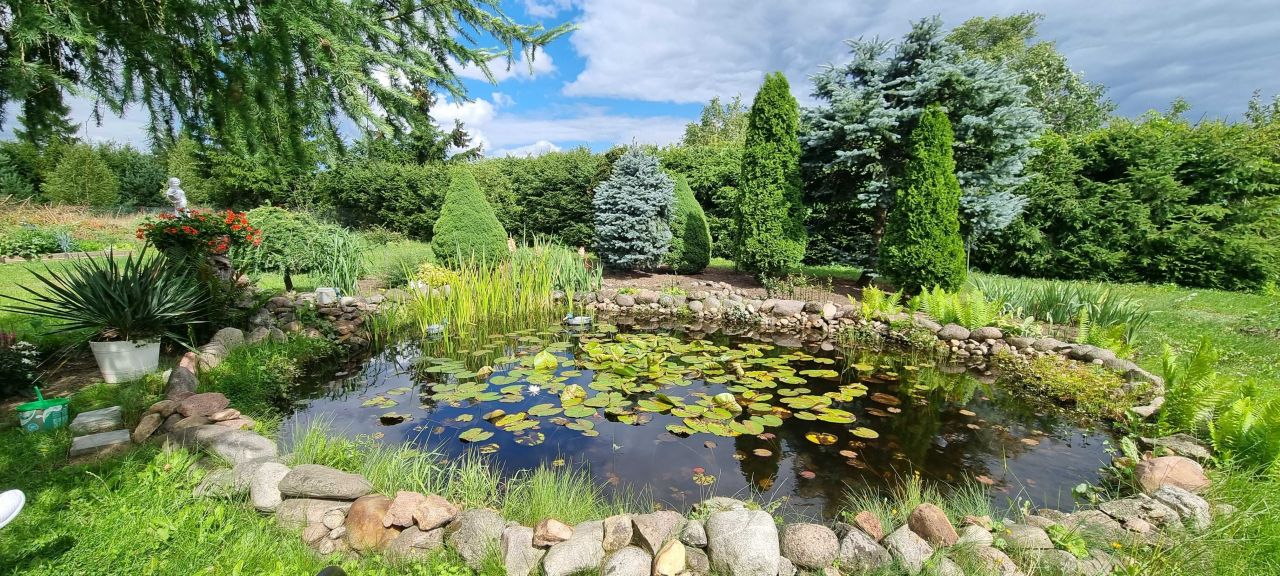 dom wolnostojący Trzebuń. Zdjęcie 7