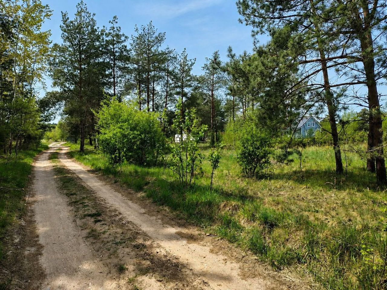 Działka budowlana Szczechy Wielkie, Szczechy Wielkie. Zdjęcie 10