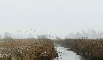 Działka budowlana Łódź Stare Złotno, Zygmuntów