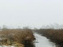 Działka budowlana Zygmuntów. Zdjęcie 2