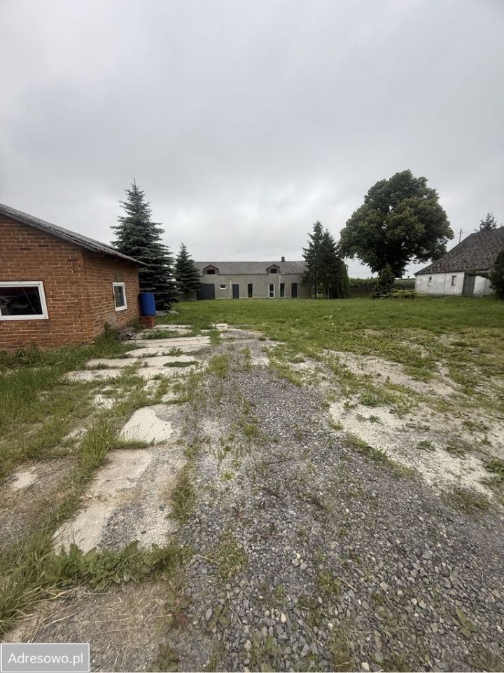 Działka rolna Przybysławice. Zdjęcie 6