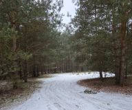 Działka rekreacyjna Adamowo. Zdjęcie 2