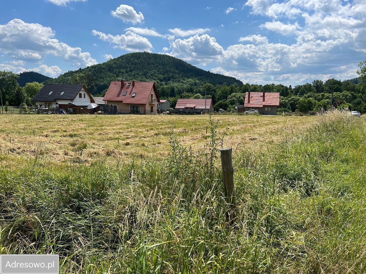 Działka rolno-budowlana Szarocin. Zdjęcie 3