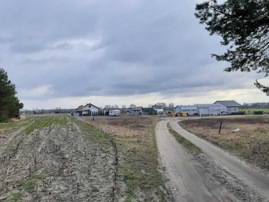 Działka budowlana Murzynowo Leśne. Zdjęcie 3