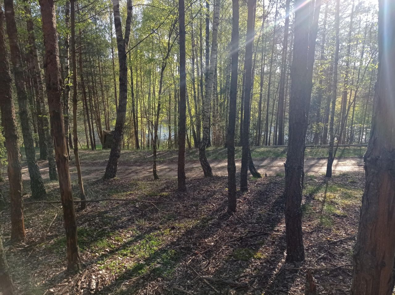 Działka leśna Kowalskie Błota Wielkie Kowalskie Błota. Zdjęcie 7