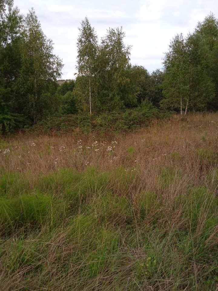 Działka budowlana Błędowa Tyczyńska. Zdjęcie 4